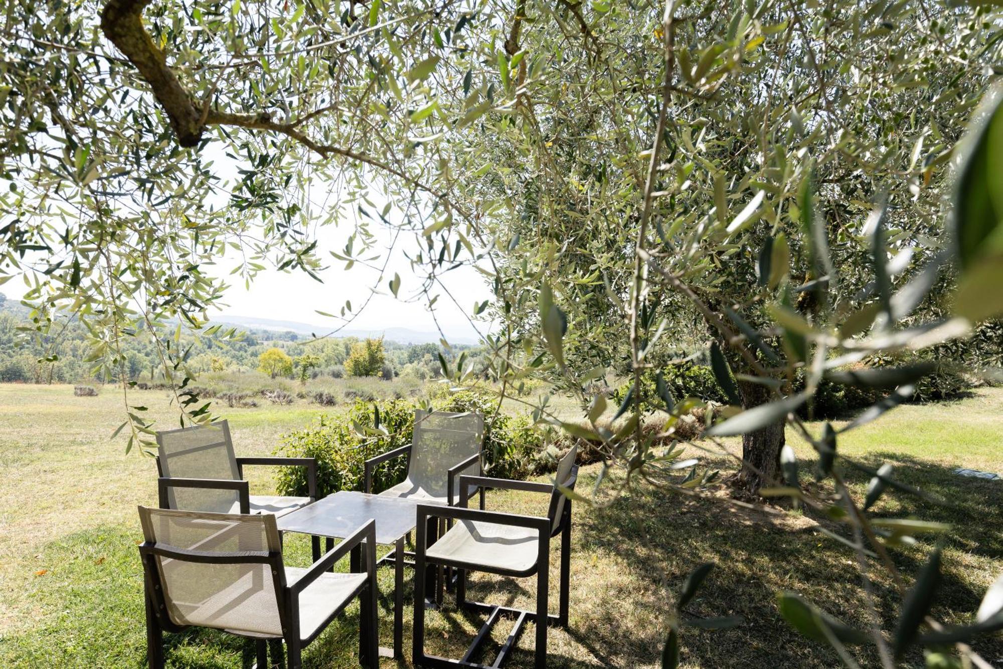 Tenuta Ponziani Wine Resort&Spa Morrano Kültér fotó