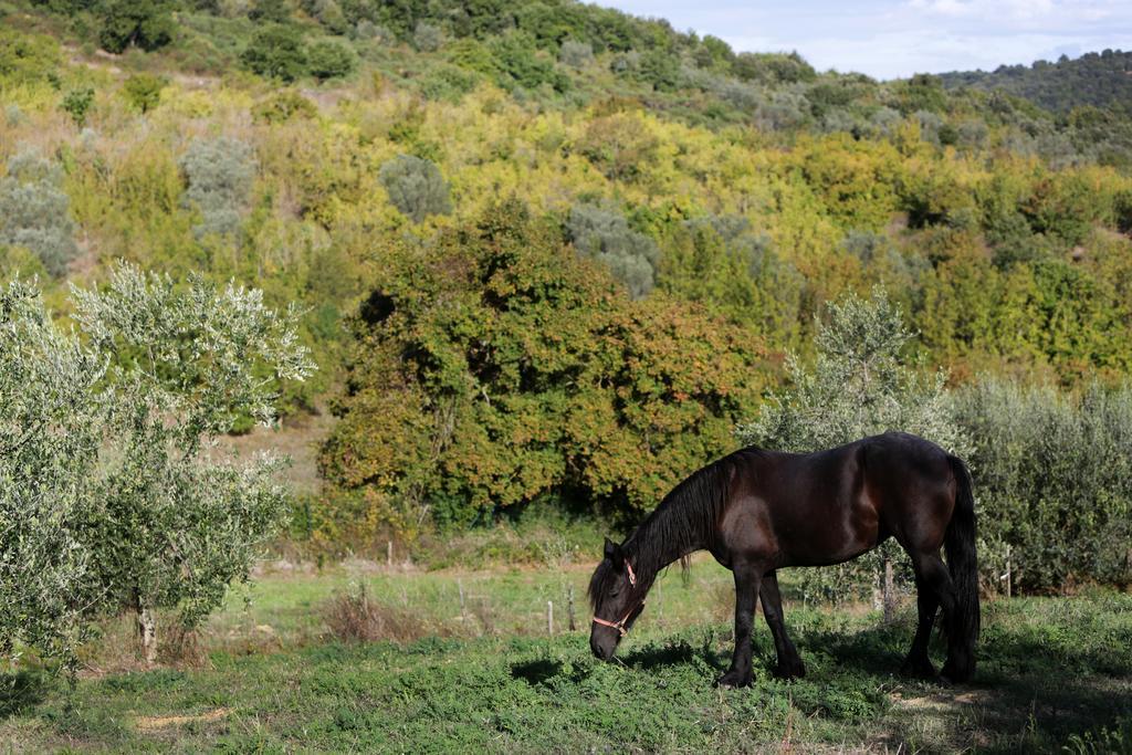Tenuta Ponziani Wine Resort&Spa Morrano Kültér fotó
